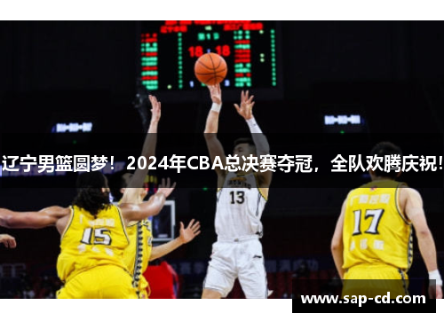 辽宁男篮圆梦！2024年CBA总决赛夺冠，全队欢腾庆祝！