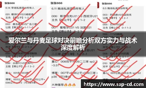 爱尔兰与丹麦足球对决前瞻分析双方实力与战术深度解析