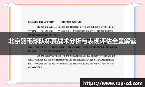 北京羽毛球队杯赛战术分析与表现评估全景解读